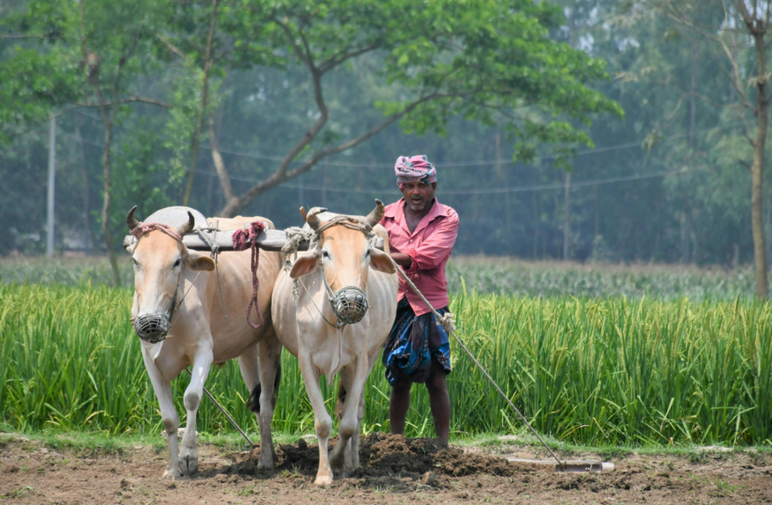Quantitative Survey in Village Panchayats of Gujarat and Madhya Pradesh