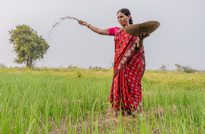 Rapid Need Assessment on Gender Integration in BRLP-JEEVIKA